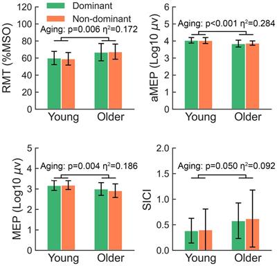 Considerable effects of lateralization and aging in intracortical excitation and inhibition